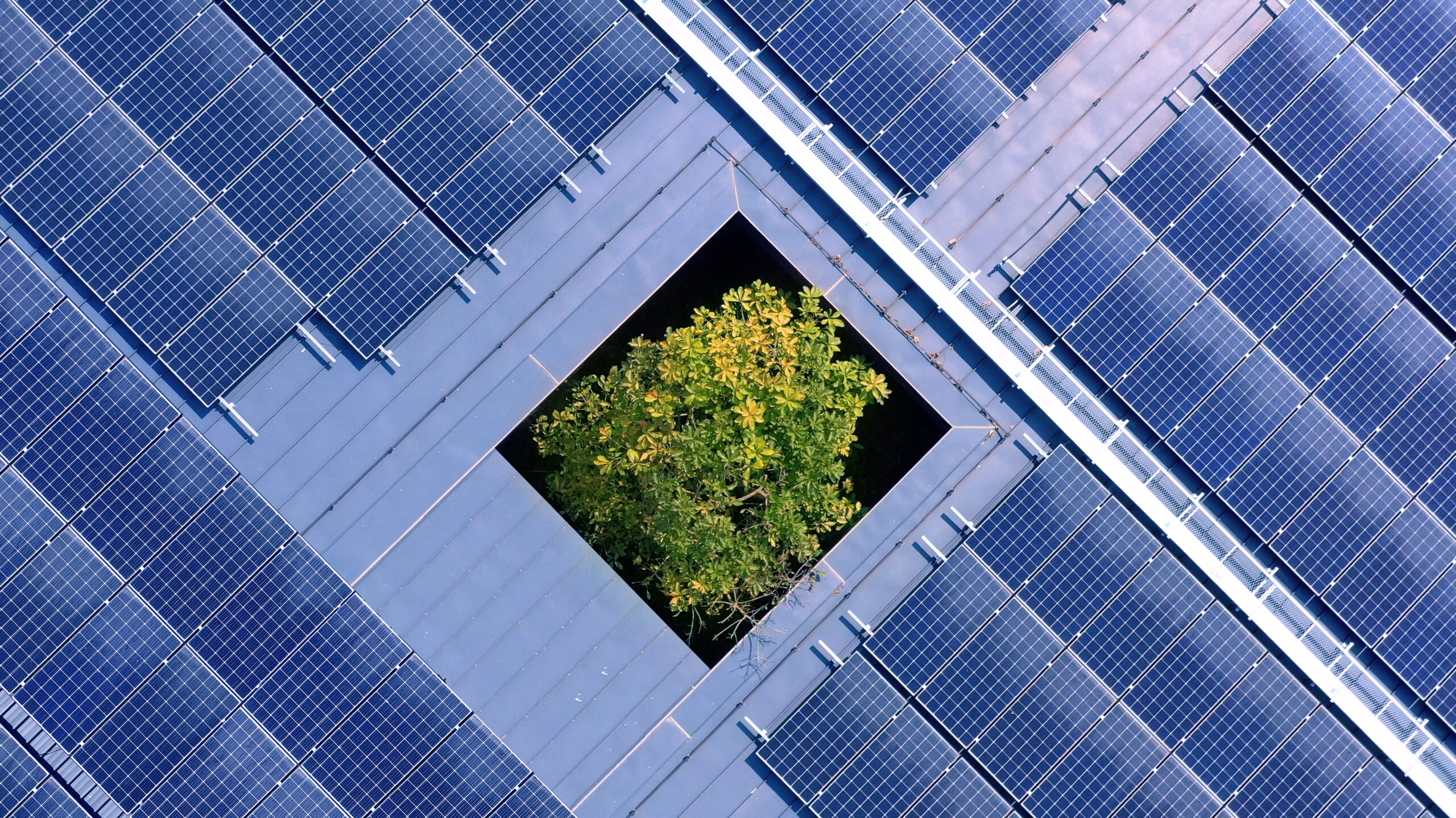 A New Era of Clean Energy Access: What is Direct Pay?